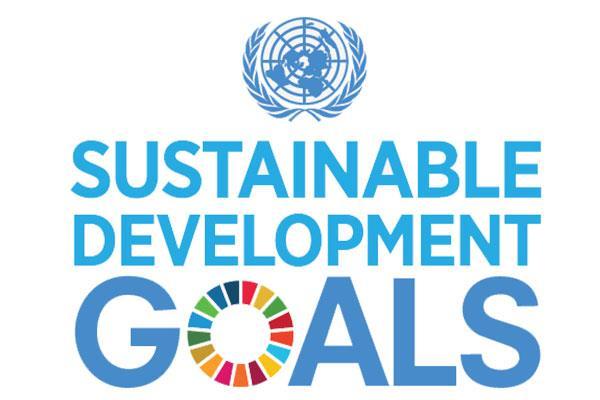 Udržitelný rozvoj na mezinárodní úrovni ORGANIZACE SPOJENÝCH NÁRODŮ