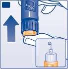 F G Držte jehlu stále směrem vzhůru a stlačte úplně dávkovací tlačítko. Volič dávky se vrátí na nulu. Na hrotu jehly se musí objevit kapka inzulinu.