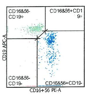 Status: OK CD19-APC 19 SYNLAB Group Presentation_Version 1.2.