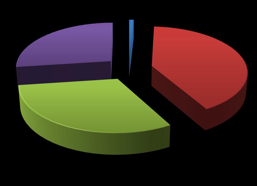 Graf č. 14: Grafické vyjádření čerpání z rozpočtu projektu v letech 2013-2015 1% 27% 41% rok 2013 rok 2014 31% rok 2015 Nevyčerpané prostředky 4.