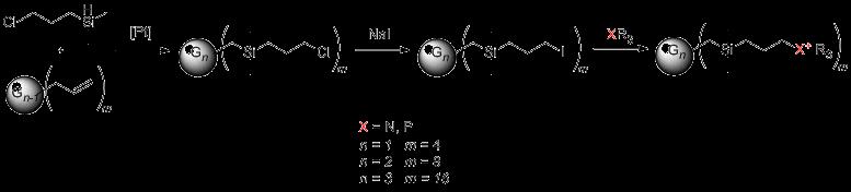 Organická chemie Syntéza kationtových karbosilanových dendrimerů pro biomedicínské aplikace Monika Müllerová Organické chemie prof. Ing. Pavel Lhoták, CSc.
