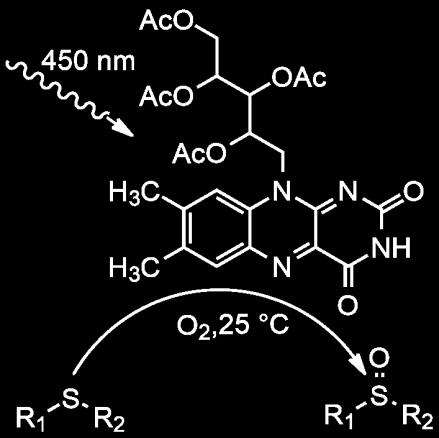 Organická chemie B1 Syntéza azikvadricyklanu jako prekurzoru cyklického karbenu CN 2 Filip Gracias Organické chemie Ing. Tomáš Martinů, Ph.D.
