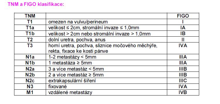 Zhoubné nádory vulvy Mouková et al.