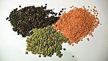 3) Pulses, legumes (luštěniny) is an annual crop yielding from one to