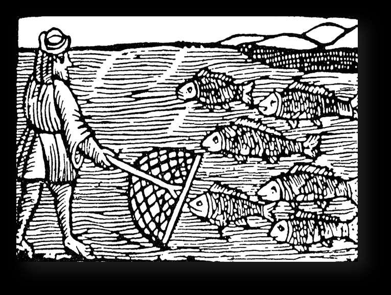 Zlatá éra českého rybnikářství (14. 16. st.) Vznik ucelených a rozsáhlých feudálních panství. Poslední třetina 15. st. se šlechta věnuje svému majetku a opouští vzájemné šarvátky. Klid vyhovuje všem.