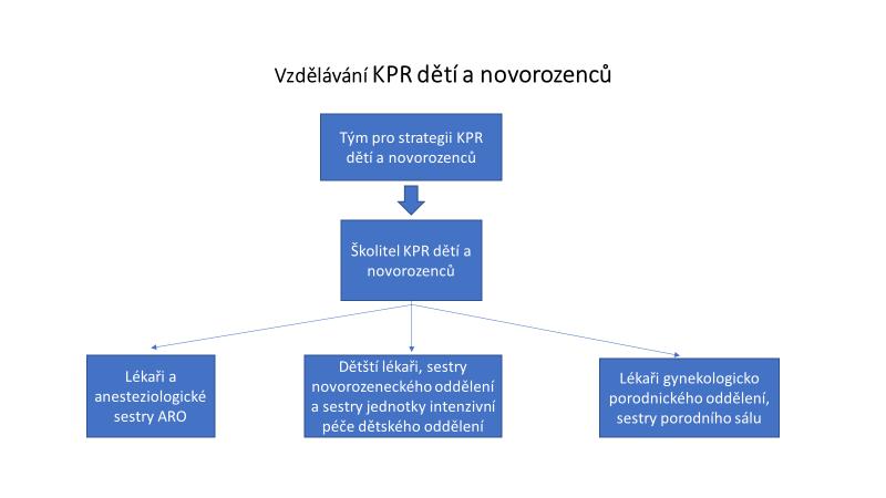 6. Návrh a zdůvodnění řešení problému Návrh řešení problémů, definovaných na základě komplexní analýzy, spočívá ve vytvoření efektivního a jednotného systému vzdělávání zdravotnických pracovníků v