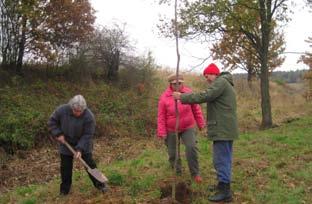 Dnes z ní zůstává jen torzo z deseti vzrostlých dubů, rozvalené kamenné studánky a