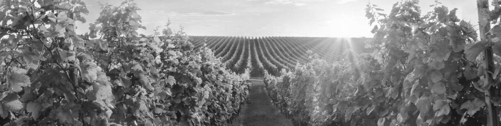 Chablis Grand Cru Bougros, 2013, Domaine Roy (Suché / Dry) 1750 Kč / 76.1 100% Chardonny Grand Cru Bougros se získává ručním sběrem z 55 let staré vinice.