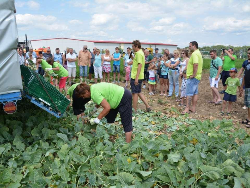 Den farmářské