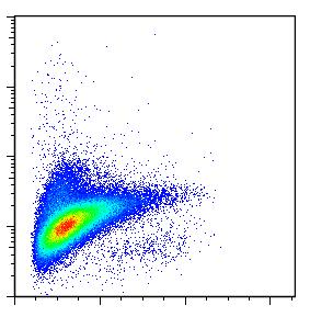 HLA DR AML M3 (promyelocytární) Typický fenotyp Vysoký FSC (granulární buňky) Negativita HLA DR CD117pos Negativita CD34 Variantní forma (mikrogranulární): aberantní