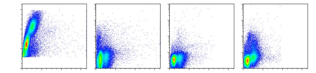 neuroblastomu26% CD14 NG2