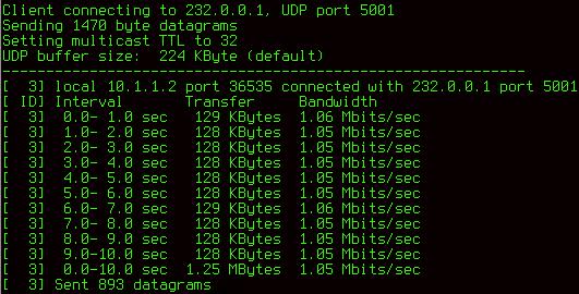 Jako směrovací protokol jsem použil OSPF.