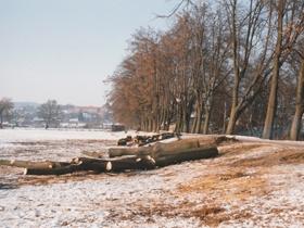 Podle středoevropského síťového mapování (Zelený 1972) spadá celé sledované území do kvadrantu 6167, jeho okrajové části pak do kvadrantů 6066, 6067 a 6166.