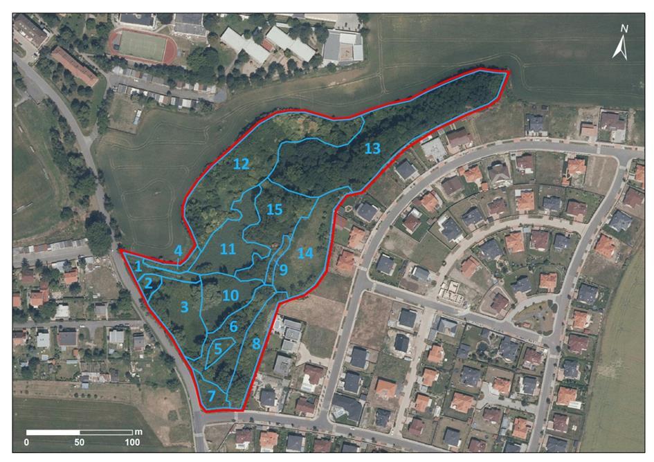 V řešeném území nejsou památné stromy evidovány. Flóra Terénní floristický průzkum proběhl 12. 5. a 25. 6. 2017. Území bylo rozdělené do patnácti dílčích ploch (obr.