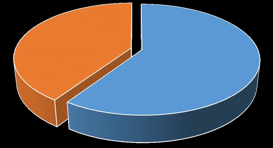 40% Neadekvátní a problema9cká Excelentní a