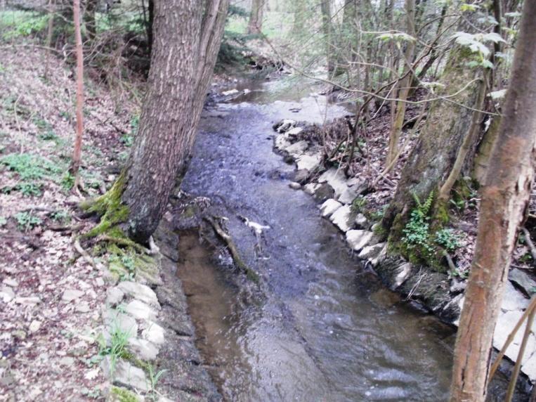Chemismus vody je ovlivněn především zemědělskou činností a již zmiňovaným rybníkem. Profil Strašík Tento profil leží na 38,6 říčním km toku Mastník ve výšce 485 m n.m. Nachází se u silničního mostu vedle Strašíkova mlýna.
