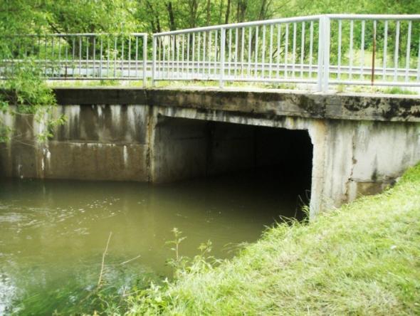 Díky nim dochází k zaplavení domů, dopravních staveb i zemědělských půd před nimi. Jako příklad lze uvést silniční most na horním toku Mastníku u Drahnovského mlýna (viz obr.