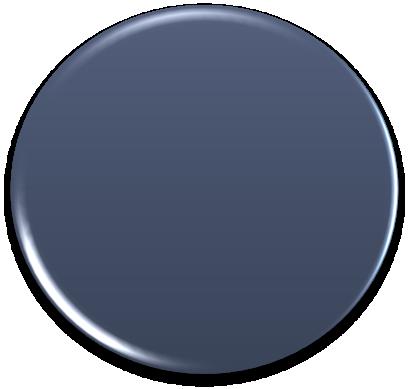 V prvním pololetí roku 2010 dosáhla