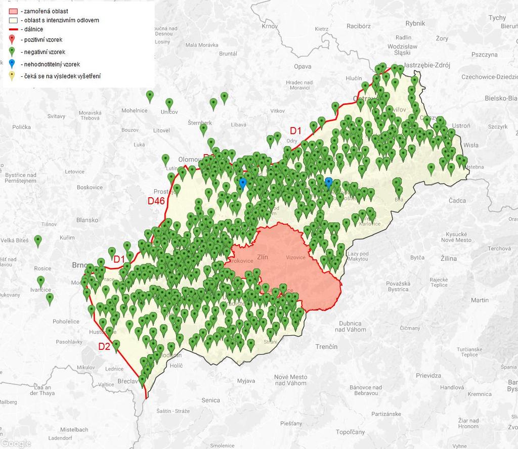 Opatření SVS v oblasti s intenzivním odlovem omezení přikrmování a vnadění divokých prasat nařízení intenzivního lovu všech věkových kategorií divokých prasat s povolením některých doposud zakázaných