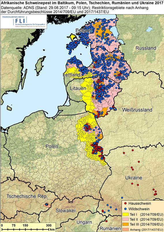 Africký mor prasat (AMP) situace v Evropě (29. 8.