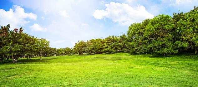 Na základě této licence se zde mohou hrát turnaje a zápasy v rámci České fotbalgolfové ligy a mezinárodní soutěže.