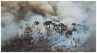Příloha 9: Vypalování lesa, Amazonie