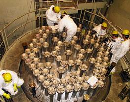 JADERNÉ PALIVO Zásobování jaderných elektráren ČEZ, a. s., jaderným palivem probíhalo v souladu s plánem tvorby zásob a s uzavřenými kontrakty.