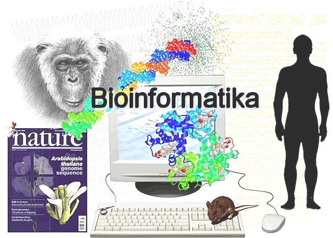 Bioinformatika a