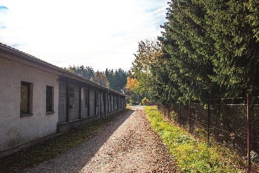 VYBRANÁ TECHNICKÁ ŘEŠENÍ PRO OMEZOVÁNÍ EMISÍ Z CHOVŮ ZVÍŘAT Úprava stájové technologie Úpravy stájové technologie je výhodné realizovat především v chovech prasat.