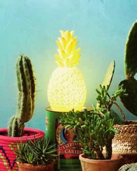 4 Dekorativní LED lampa»ananas«kč 1.190,- Exotické světlo 2 Komoda Kč 9.990,- 3 Ratanová stolička Kč 2.