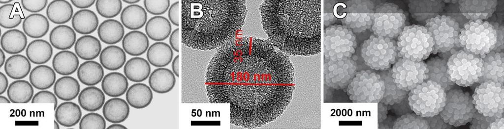 Návod pro vypracování úlohy Příprava dutých křemičitých mikročástic a jejich charakterizace Laboratoř přípravy nano a mikromateriálů Ing. Marek Šoltys Úvod V přírodě se vyskytují organismy (např.