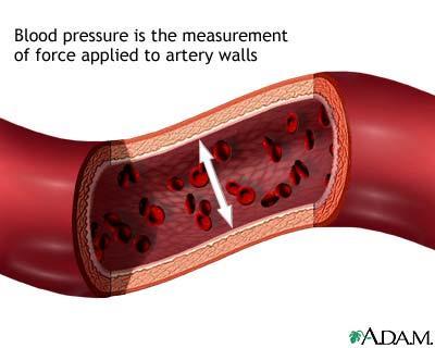 90/min mechanická energia, ktorej hlavným zdrojom je systolická kontrakcia srdcovej pumpy tlak frontálny a laterálny