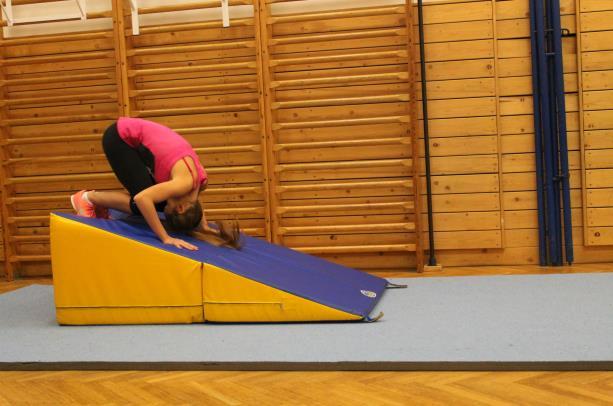 V knize Gymnastika, akrobacie a cvičení na nářadích je metodicky ukázáno, jak postupovat.