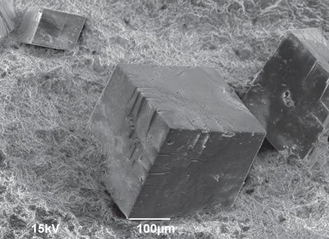 KRYSTALOVANÝ SIDERIT ZE SPODNOKARBONSKÝCH ALEUROPELITŮ V HRABŮVCE (KULM NÍZKÉHO JESENÍKU) Siderite crystals from the Lower Carboniferous aleuropelites in Hrabůvka (Culm of the Nízký Jeseník Upland)