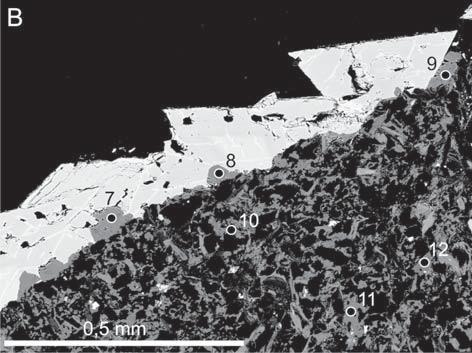 Čísla indikují místa WDX analýz z tab. 1. Fig. 2: A Siderite crystals (white-grey, zoned) growing up on fractured aleuropelite (dark, inhomogeneous, in lower part of photo).