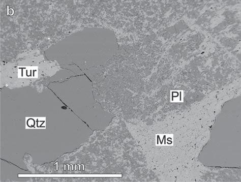 Některé horniny v plášti brněnského masivu jsou slabě metamorfované kyselé vulkanity (metaryolity).