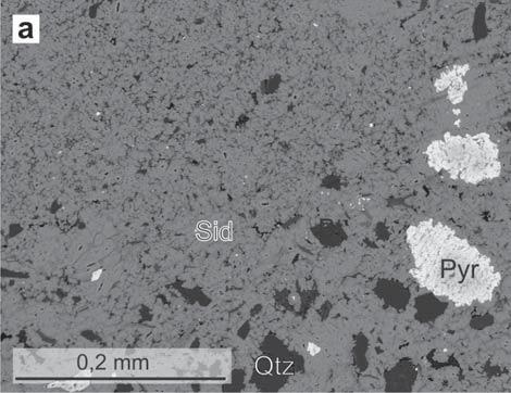 Obr. 2: Petrografie karbonátových konkrecí: a drobně zrnitý siderit koroduje zrna křemene (Hrachovec, DH149), b framboidy pyritu uzavřené v základní hmotě tvořené sideritem (Veřovice, DH229), c
