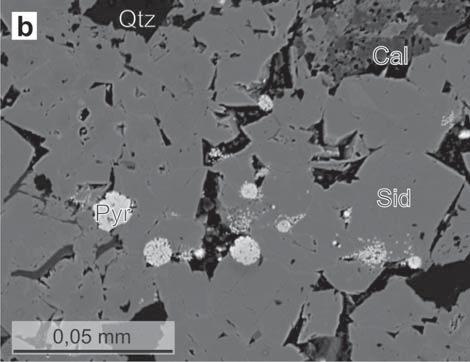 2: Petrography of the carbonate concretions: a fine-grained siderite partially replaces quartz grains (Hrachovec, DH149), b pyrite framboids included in the siderite matrix (Veřovice, DH229), c