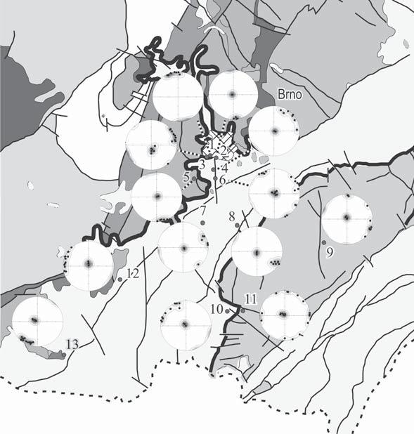 PUKLINOVÁ STAVBA SPRAŠÍ NA VYBRANÝCH LOKALITÁCH JIŽNÍ MORAVY Joint patterns in loess complexes at the selected localities from the Southern Moravia Lukáš Maňák, Rostislav Melichar Ústav geologických