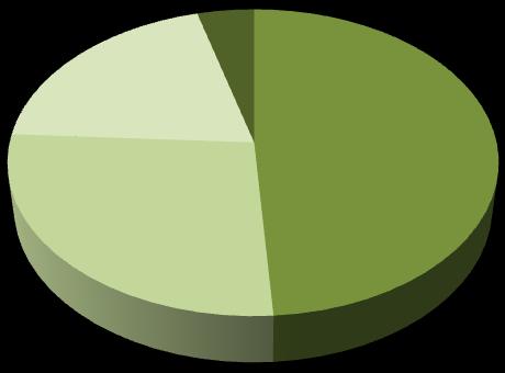 Pojištěnci 48,90% Důchodci bez sirotků 26,96% 5.