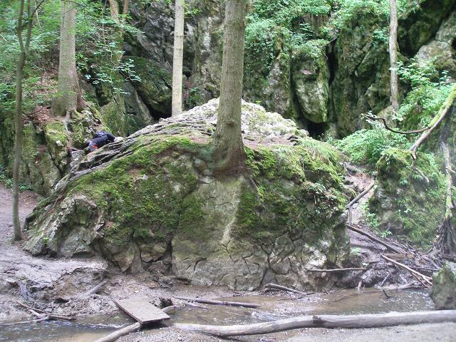 4. stanoviště ÚKOLY Anglický název krasového jevu, kde končí tok Jedovnického potoka. A. River sinkhole B. Dry sinkhole Obratnost, chůze 1.