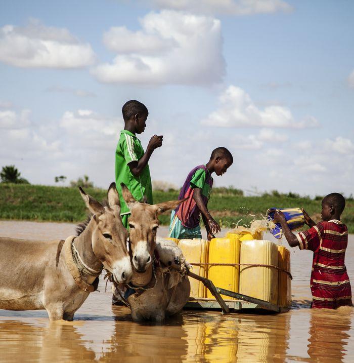 Niger: Třináctiletí spolužáci (zleva) Boubacar, Sanoussi a Mahamadou z vesnice Mehana naplňují kanystry vodou z řeky Niger.