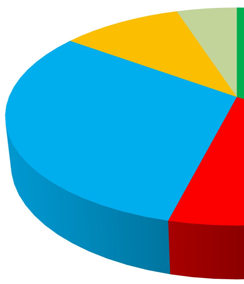 DOTAZNÍKOVÉ ŠETŘENÍ 10.4 JAKÉHO KONKRÉTNÍHO VEŘEJNÉHO DOPRAVCE NEJVÍCE PREFERUJETE? Otázku zodpovědělo 31 cestujících, kteří preferují dopravce ČSAD.