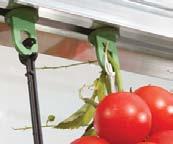 Ideální pro objednání i přes e-obchod Vylaďte si svůj skleník podle svých potřeb a pěstujte rostliny ještě efektivněji, snadněji a pohodlněji Automatické otvírání oken Háčky pro popínavé rostliny