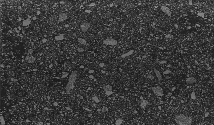 200 µm Obrázek 1: Snímek mikromleté mramorové moučky, zvětšeno 100. Tabulka 2: Vyhodnocení prvkové analýzy. Prvek Váhová Wt. [%] Wt. směr. odch.