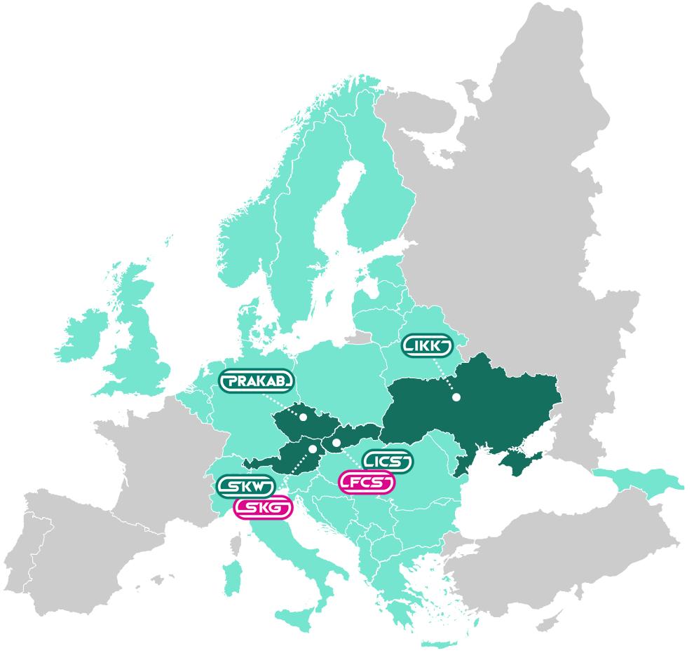 Zastoupení v rámci Evropy Domácí trh