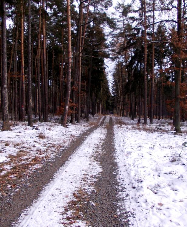 cestě na zasněženém listí spatřil ležícího muže, ale bez přikrývky, což mne vyděsilo. Zřejmě tvrdě spal, neodpovídal ani nereagoval na mé strkání do něho hůlkou, poté pohorkou.