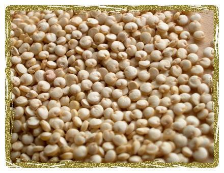 19 BEZLEPKOVÁ DIETA Základ bezlepkové diety tvoří tyto plodiny a výrobky z nich vyrobené brambory kukuřice rýže pohanka