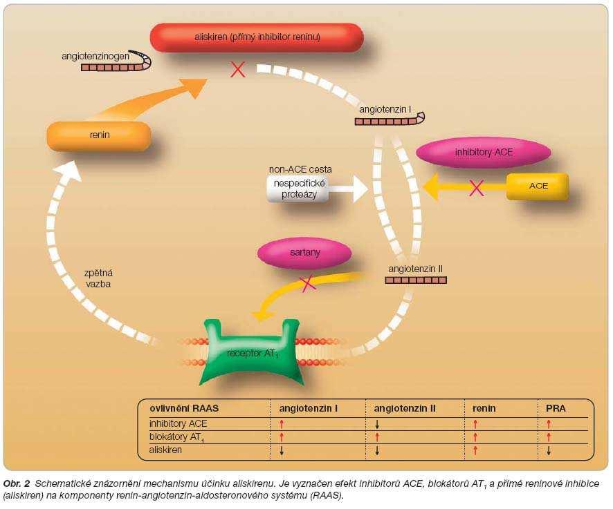 MÚ aliskirenu Převzato z: Souček M, Fráňa P,