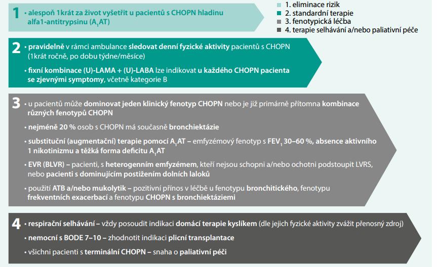 indikované u specifického typu postižení. Posledním, čtvrtým krokem je terapie respiračního selhávání a intervence zaměřené na paliativní péči o nemocné v terminální fázi choroby.